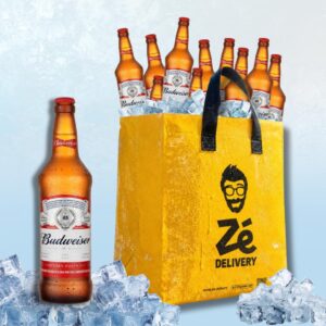Budweiser 330ml (10 unidades) + Sacooler com Gelo